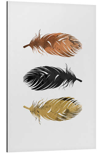 Aluminium print Feathers