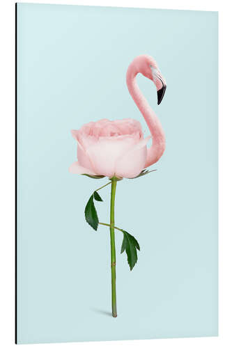 Stampa su alluminio Flamingo Rose