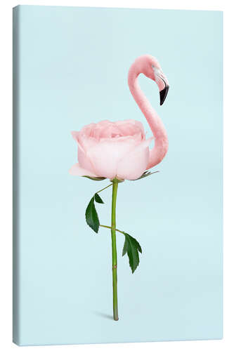 Lerretsbilde Flamingo Rose