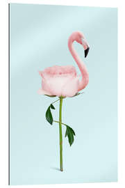 Gallery Print Flamingo-Rose