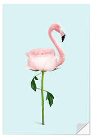 Selvklebende plakat Flamingo Rose