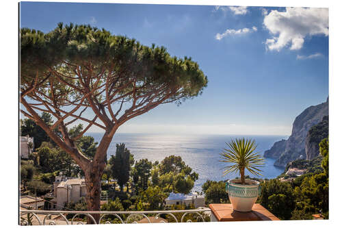 Galleriprint Off to the south! Belvedere Tragara on Capri