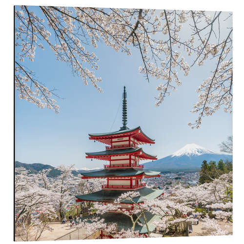 Aluminium print Japanese pagoda and mountain Fuji in spring