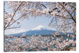 Alubild Berg Fuji mit Kirschblüte