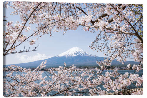 Lærredsbillede Mountain Fuji with cherry blossom