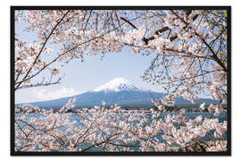 Gerahmter Kunstdruck Berg Fuji mit Kirschblüte