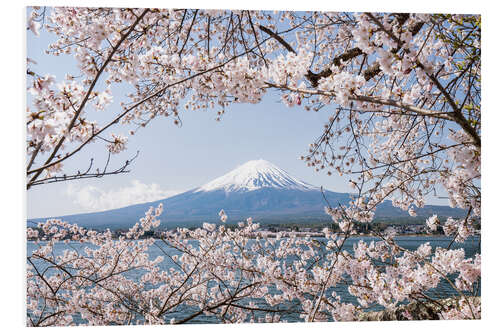 Stampa su PVC Montagna Fuji con fiori di ciliegio