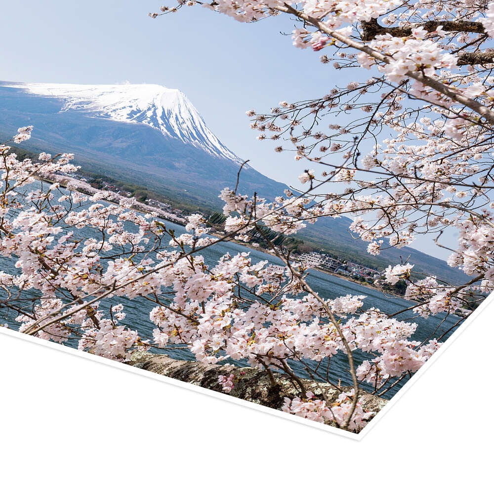 Mountain Fuji with cherry blossom print by Jan Christopher Becke