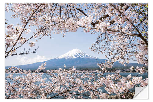 Selvklæbende plakat Mountain Fuji with cherry blossom