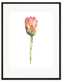 Gerahmter Kunstdruck Federbusch