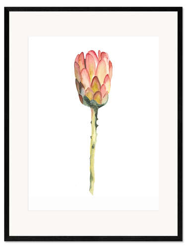 Impresión de arte enmarcada Rey protea