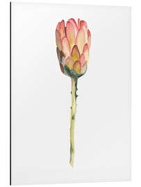 Magnettafel Federbusch