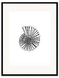 Framed art print Shell