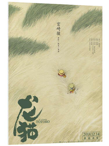 Foam board print My Neighbor Totoro (Chinese)