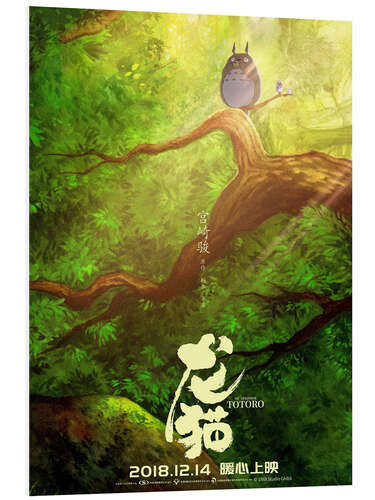 Foam board print My Neighbor Totoro (Chinese)