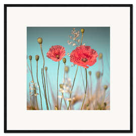 Framed art print Delicate poppies under blue sky