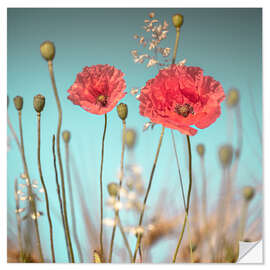 Sticker mural Coquelicots délicats sous un ciel bleu