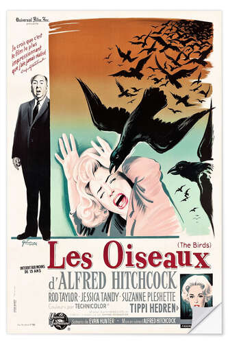Naklejka na ścianę The birds (french)