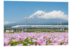 Obraz na PCV Shinkansen drives past Mount Fuji