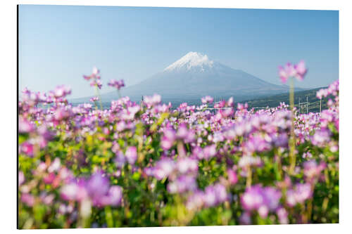 Stampa su alluminio Monte Fuji in primavera