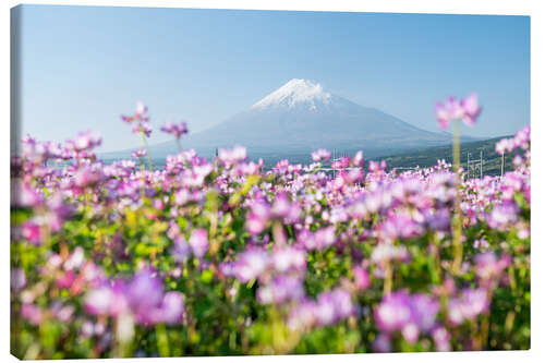 Leinwandbild Mount Fuji im Frühling