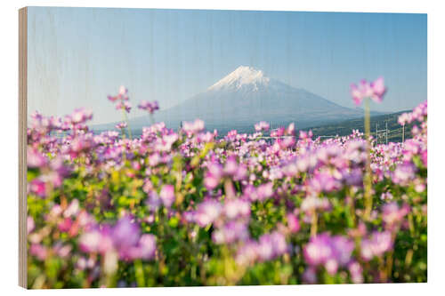 Holzbild Mount Fuji im Frühling