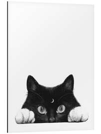 Magnettafel Nachtkatze