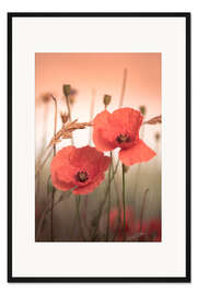 Gerahmter Kunstdruck Mohnblumen im Sonnenaufgangslicht