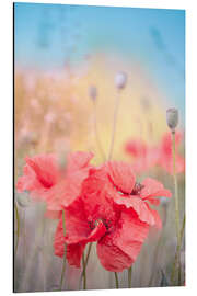 Magnettafel Mohnblumen im Sommer