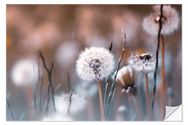 Selvklebende plakat Dandelions meadow