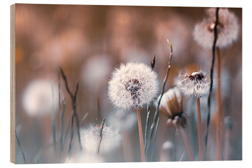 Holzbild Pusteblumenwiese