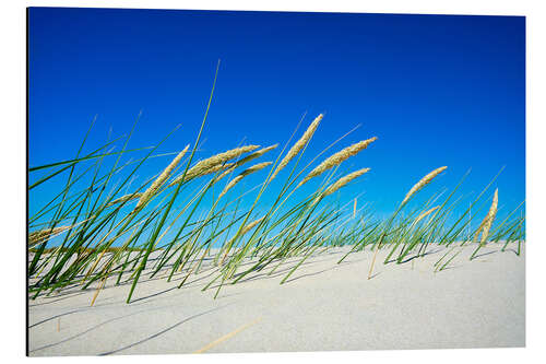 Tableau en aluminium Dune et herbes sauvages