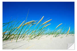 Naklejka na ścianę Dune with fine dune grass and beach grass