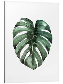 Aluminium print Monstera Deliciosa