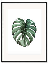 Gerahmter Kunstdruck Monstera Deliciosa