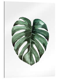 Gallery print Monstera Deliciosa