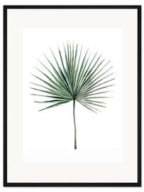 Gerahmter Kunstdruck Palmwedel