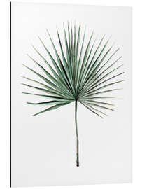 Magnettafel Palmwedel