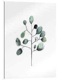 Gallery print Eucalyptus