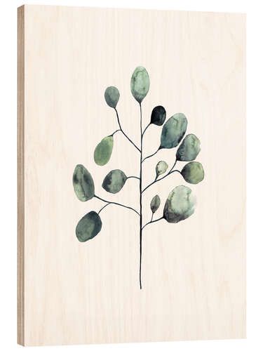 Wood print Eucalyptus