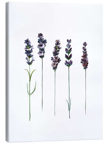 Canvas print Lavender