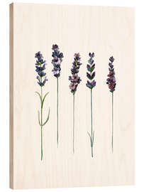 Holzbild  Lavendel - Mantika Studio