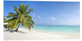 Akryylilasitaulu  Palm beach - Jan Christopher Becke