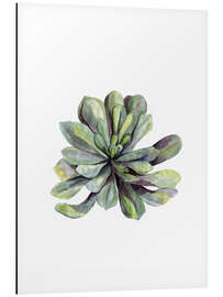 Tableau en aluminium Succulente