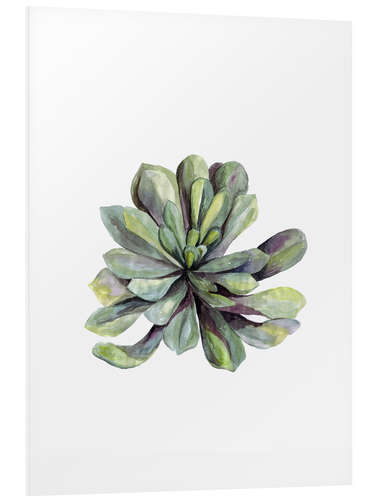 Foam board print Succulent