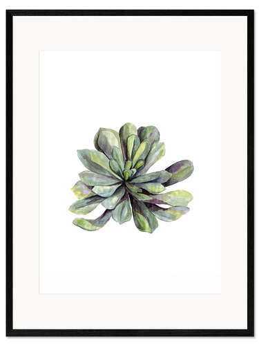 Framed art print Succulent