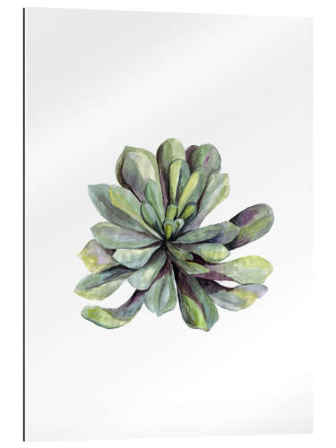 Gallery print Succulent