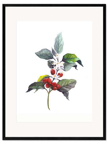 Framed art print Arabica coffee