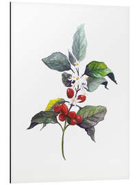 Magnettafel Arabica-Kaffee