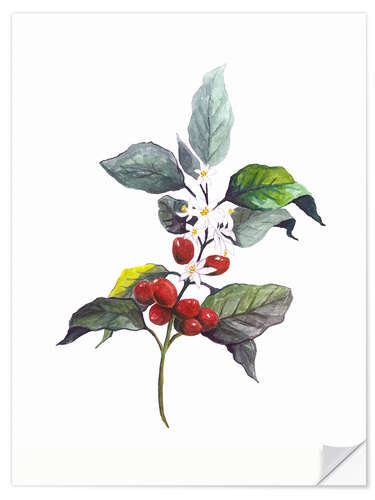 Sisustustarra Arabica coffee